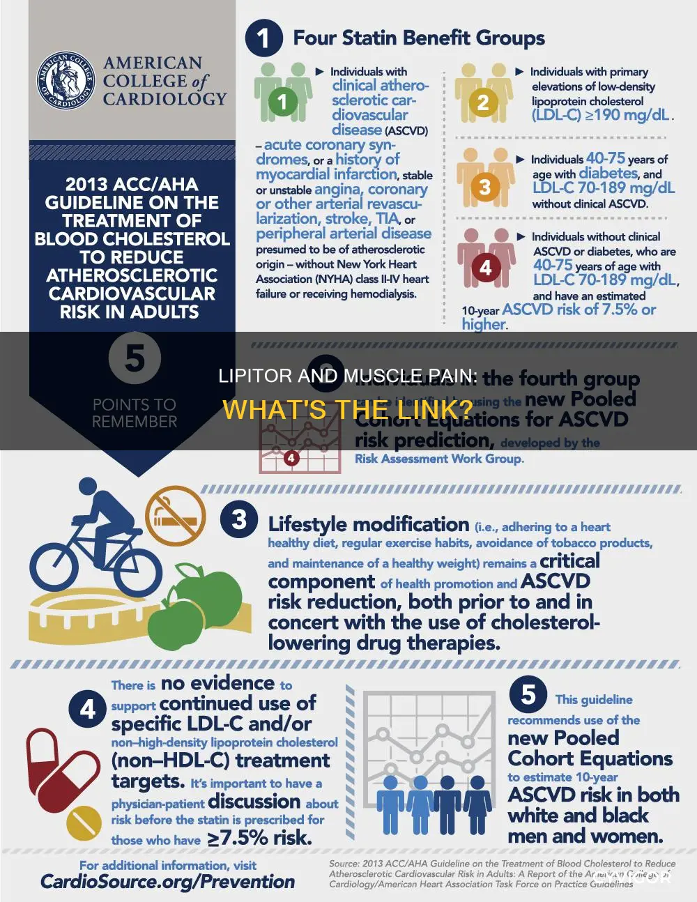 can lipitor cause muscle pain