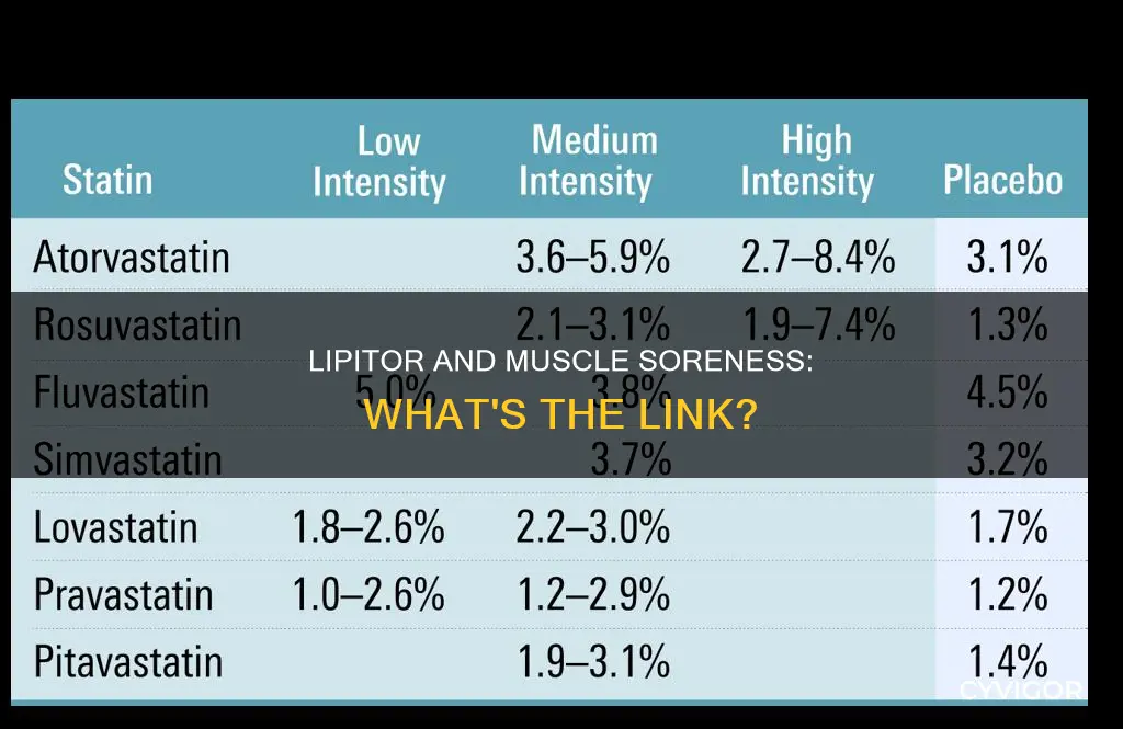 can lipitor cause muscle soreness