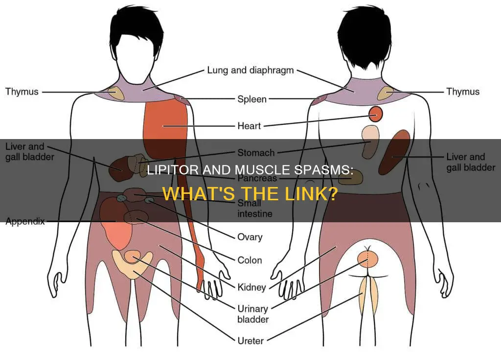 can lipitor cause muscle spasms