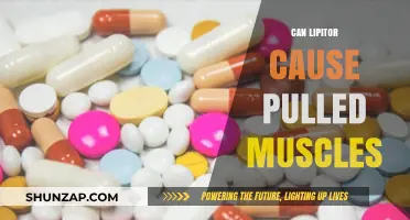 Lipitor and Muscle Pain: What's the Link?