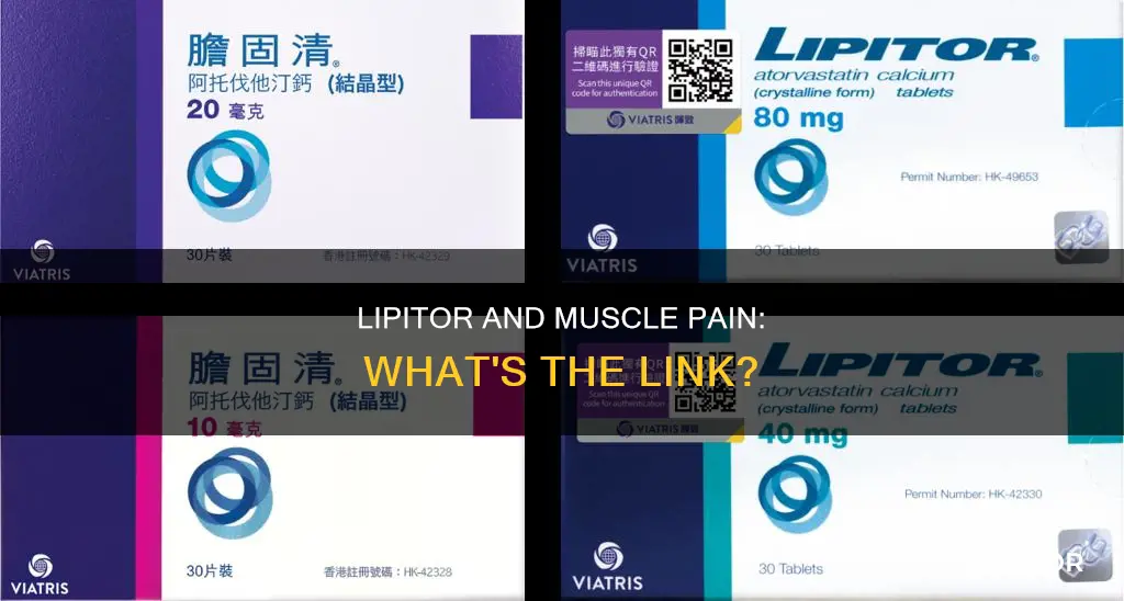 can lipitor cause stomach muscle pain