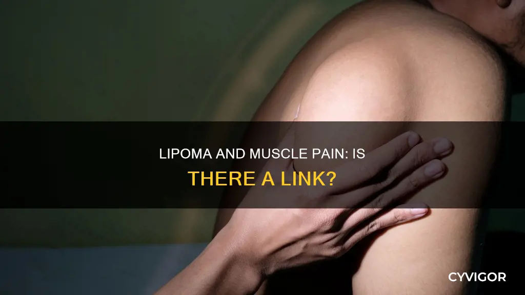 can lipoma cause muscle pain