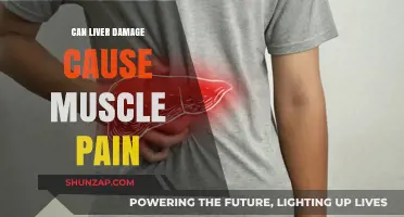 Liver Damage: The Link to Muscle Pain and Aches