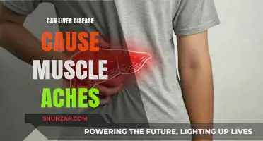Liver Disease: Muscle Aches and Their Link