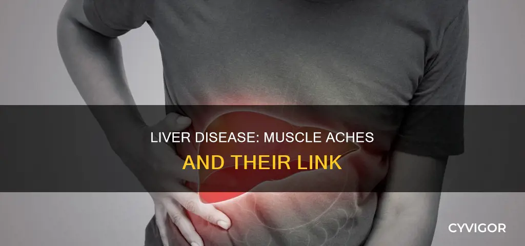 can liver disease cause muscle aches