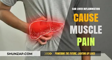 Liver Inflammation and Muscle Pain: Is There a Link?