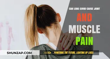 Long Covid: Joint and Muscle Pain Explained
