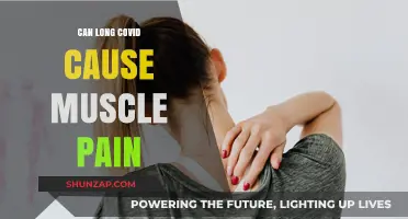 Long Covid: Understanding Muscle Pain Links