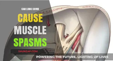 Long Covid: Muscle Spasms and Their Connection