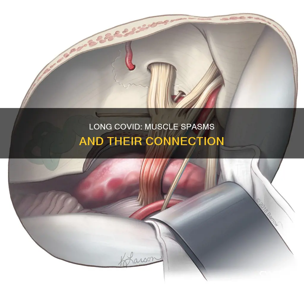 can long covid cause muscle spasms