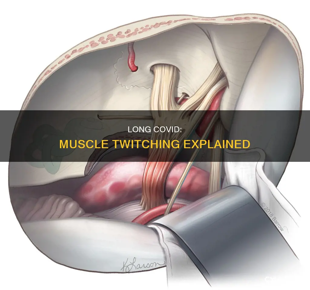 can long covid cause muscle twitching