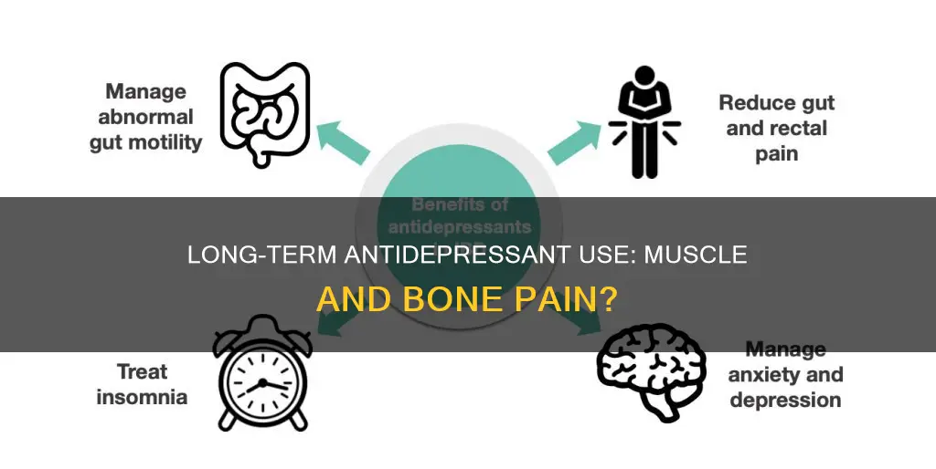 can long-term antidepressants cause muscle and bine pain