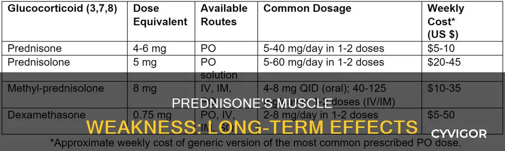 can long term use of prednisone cause muscle weakness