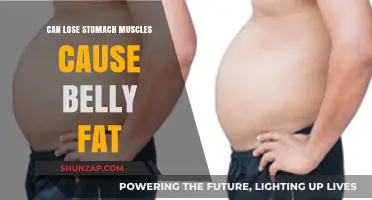 Weak Stomach Muscles: A Culprit of Belly Fat?