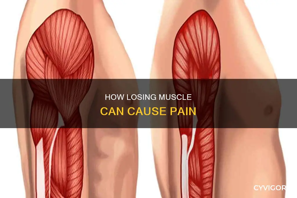 can losing muscle cause pain