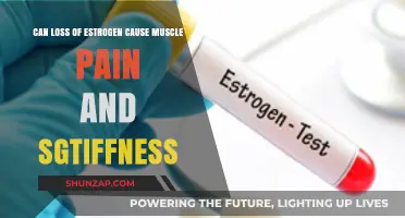 Estrogen Loss: Muscle Pain and Stiffness Explained