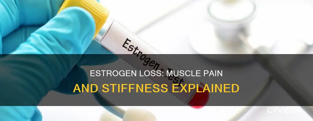 can loss of estrogen cause muscle pain and sgtiffness