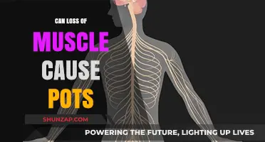 Muscle Loss and POTS: Is There a Link?