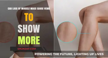 How Visible Veins Are Linked to Muscle Mass