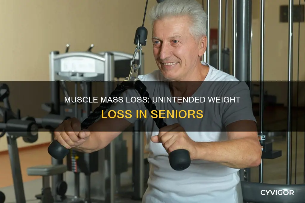 can loss of muscle mass cause weight loss in seniors