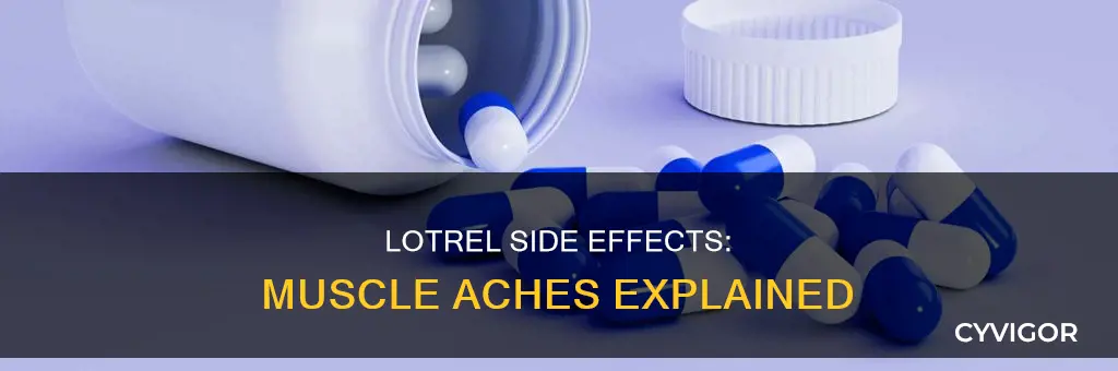 can lotrel cause muscle aches
