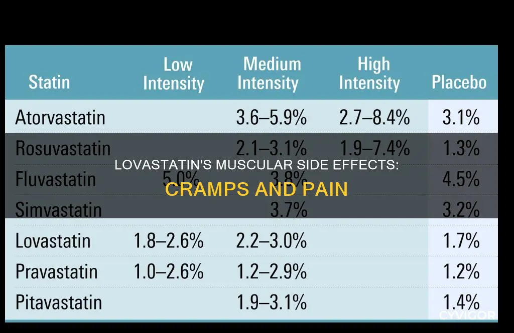 can lovastatin cause muscle cramps