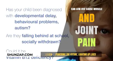 B12 Deficiency: Muscle and Joint Pain Connection