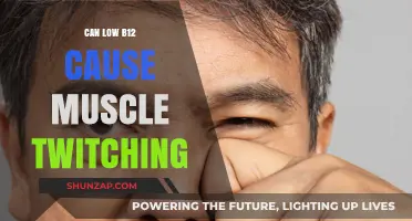 Low B12 and Muscle Twitching: What's the Link?