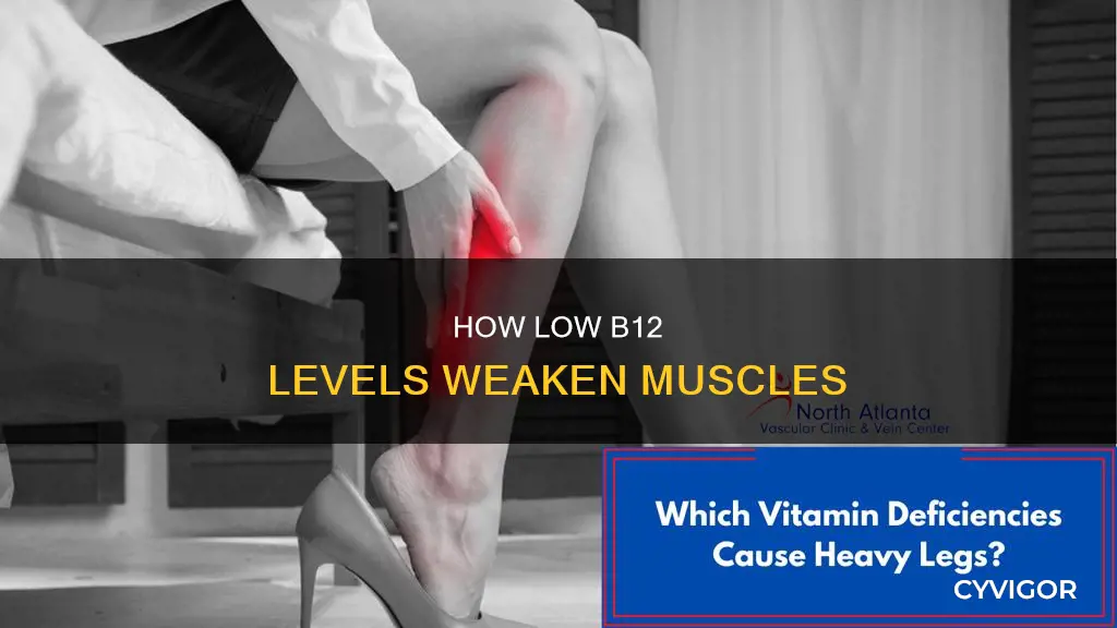 can low b12 cause muscle weakness