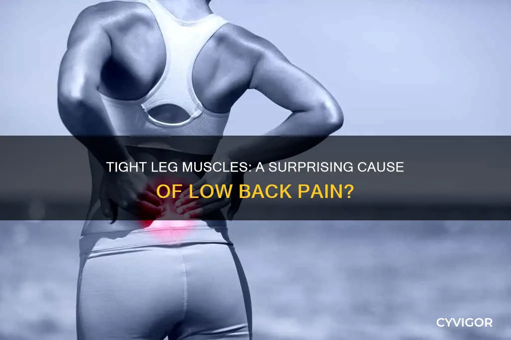 can low back pain be caused by tight leg muscles