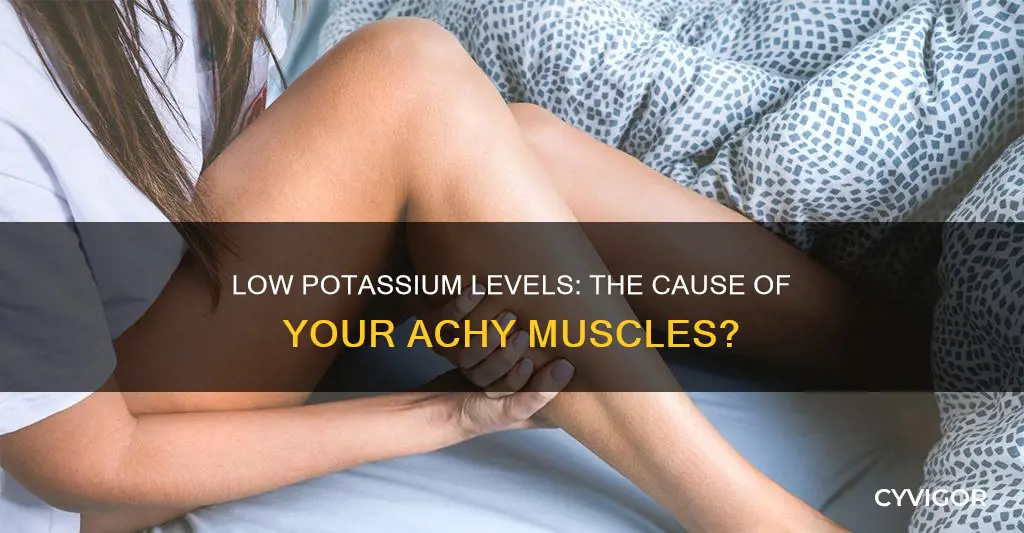 can low blood potassium level cause achy muscles