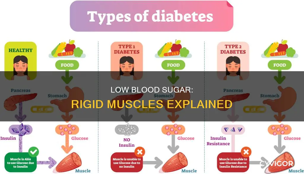 can low blood sugar cause rigidy muscles