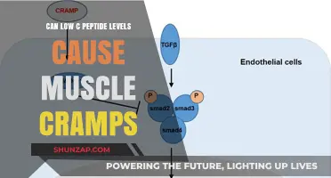 Low C-Peptide: The Link to Muscle Cramps