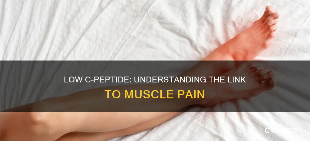 can low c peptide levels cause muscle pain