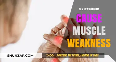 Calcium Deficiency: Muscle Weakness and Fatigue