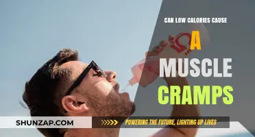 Low-Calorie Diets: The Cause of Muscle Cramps?