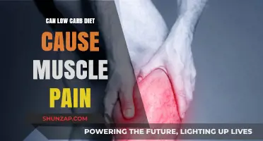 Low-Carb Diet: Friend or Foe for Muscle Pain?