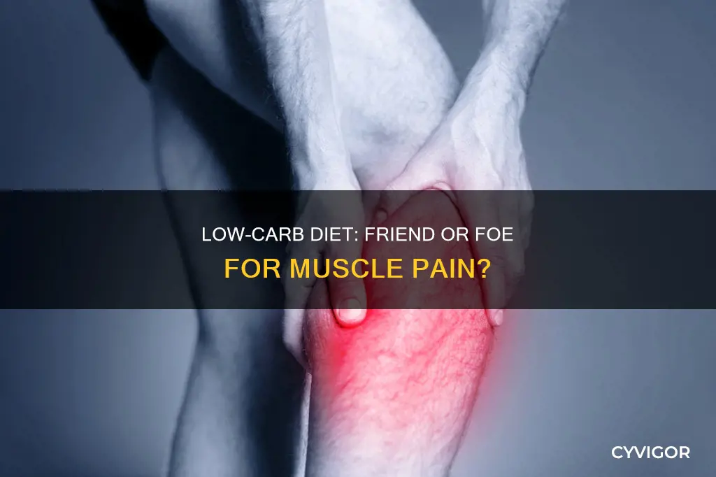 can low carb diet cause muscle pain