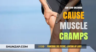 Chloride Deficiency: The Surprising Cause of Muscle Cramps?