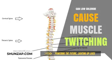 Low Chloride and Muscle Twitching: What's the Link?