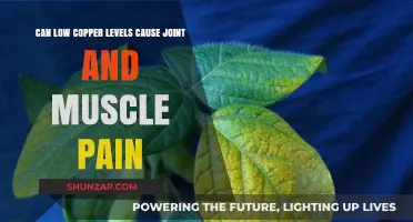 Copper Deficiency: Joint and Muscle Pain Connection