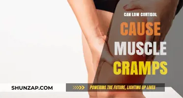 Cortisol and Muscle Cramps: What's the Connection?