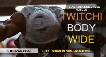 Creatine Deficiency: Understanding Body-Wide Muscle Twitching