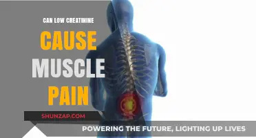 Creatinine and Muscle Pain: What's the Link?