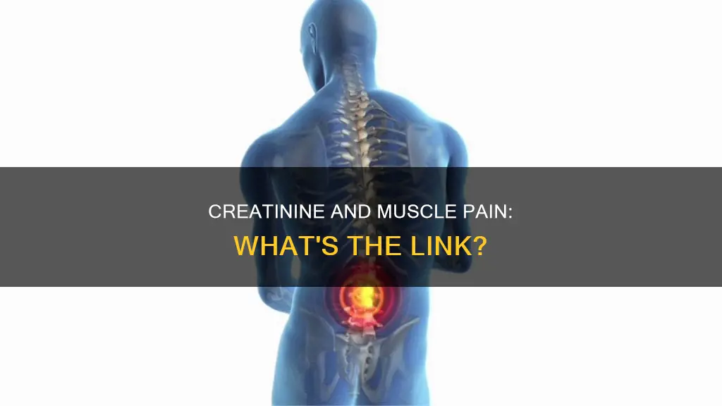 can low creatinine cause muscle pain