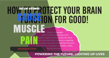 Dopamine, Muscle Pain, and Their Surprising Link