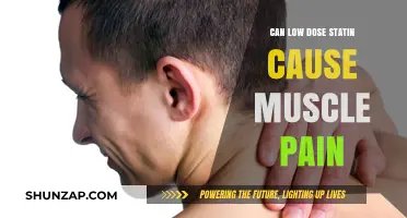 Statin Therapy: Managing Muscle Pain