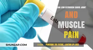 Estrogen's Link to Joint and Muscle Pain