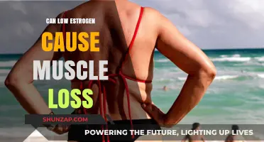 Estrogen's Role in Muscle Loss: What You Need to Know