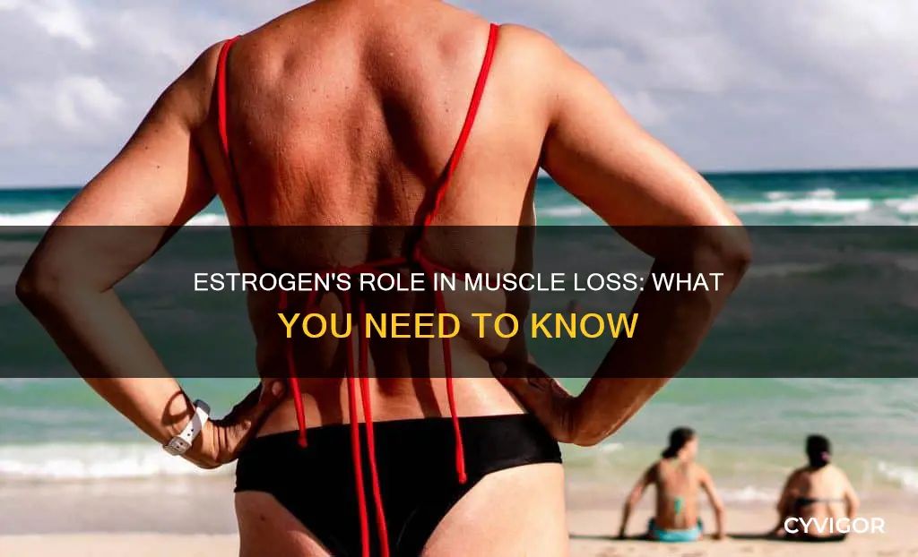 can low estrogen cause muscle loss